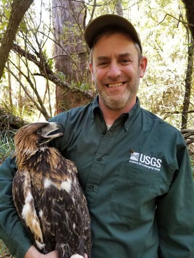 Illegal wildlife killing in Birds of Prey National Conservation widespread,  new research shows | Local News | idahopress.com