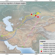 Карта весенней миграции степных орлов
