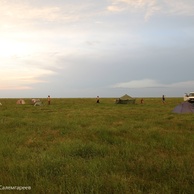 Полевой лагерь в месте окота сайги уральской популяции