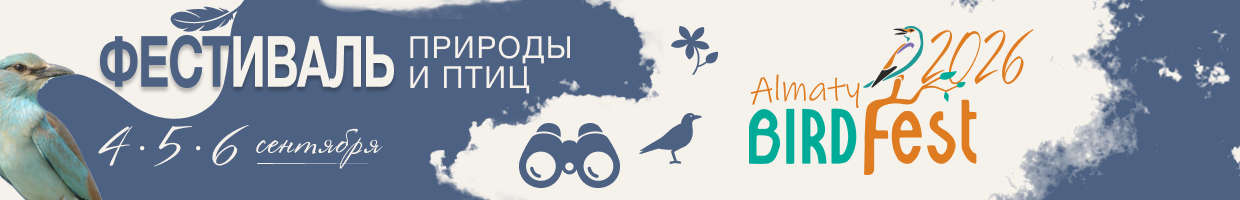 Birdfest