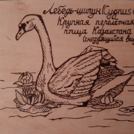 Рисунок Ильи Шульга (КГУ «Средняя школа № 24», 6 «Б» класс) 